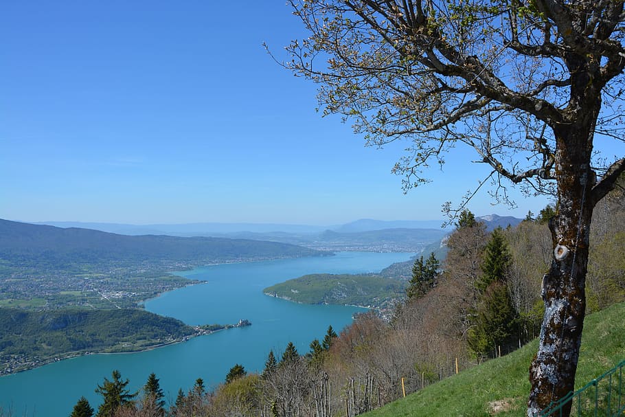 lake annecy, water, nature, walks, france, sky, blue, tree, plant, scenics - nature