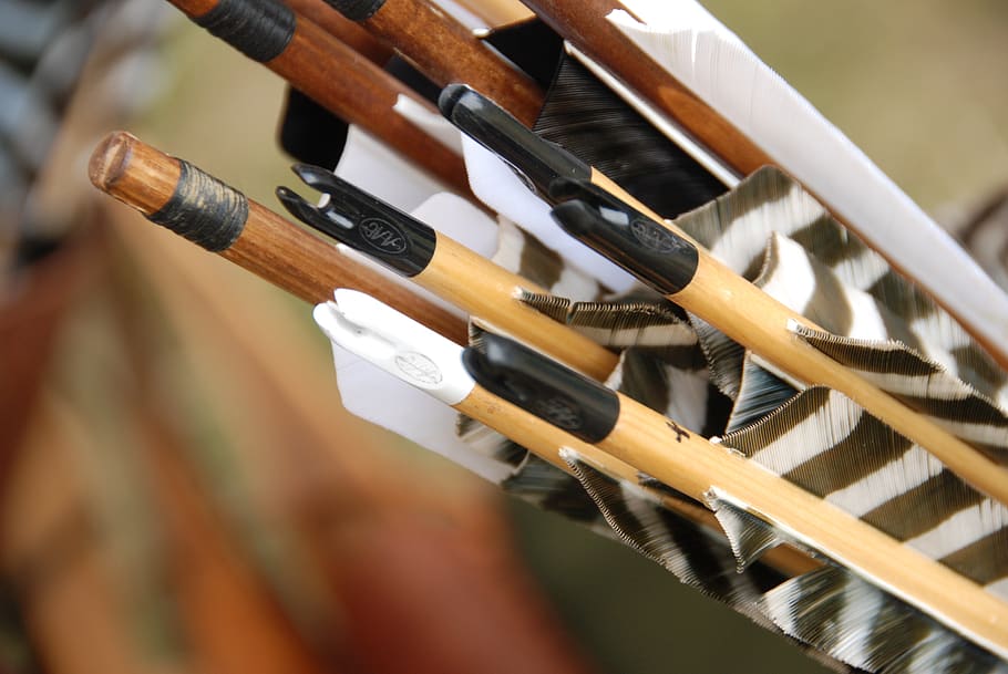 archery, arrow, bow, hunt, bow hunting, instinctive archery, wood - material, focus on foreground, close-up, selective focus
