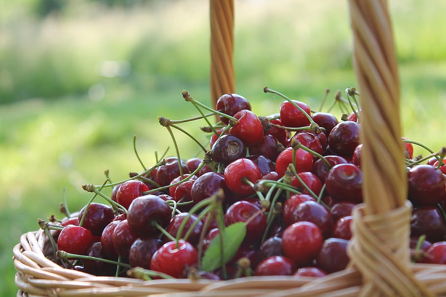 cerejas, carrinho, natureza, fruta, cesta, comida e bebida, alimentação saudável, agricultura, cereja, frescura