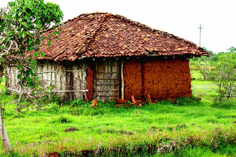 農村, インド, 村, ランダム, 泥の家, インドの農村, 自然, 建築, 風光明媚な屋外, フィールド