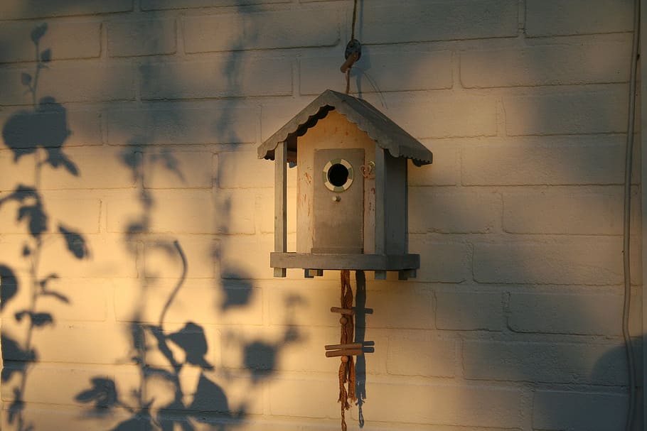 aviary, decoration, shadow play, bird feeder, nesting box, architecture, built structure, wall - building feature, old, close-up