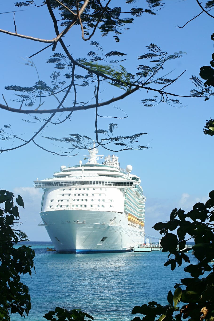 white, cruise ship, body, water, cruise, ship, sea, cruise ships, ocean, pier