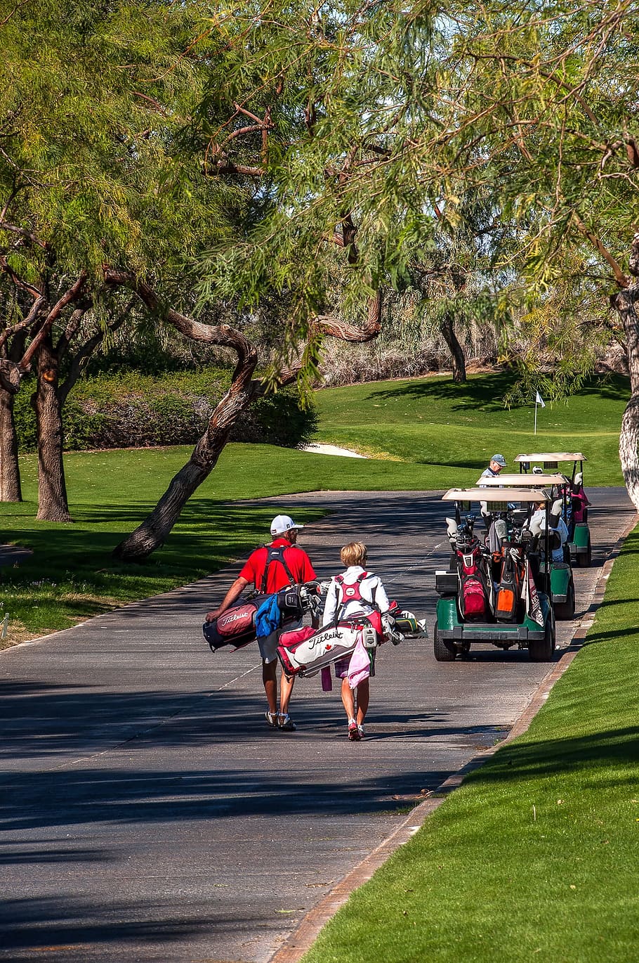 Golf Carts, Pathway, golfers, driving range, golfing, hobby, golf clubs, shadow ridge golf club, palm desert, sport
