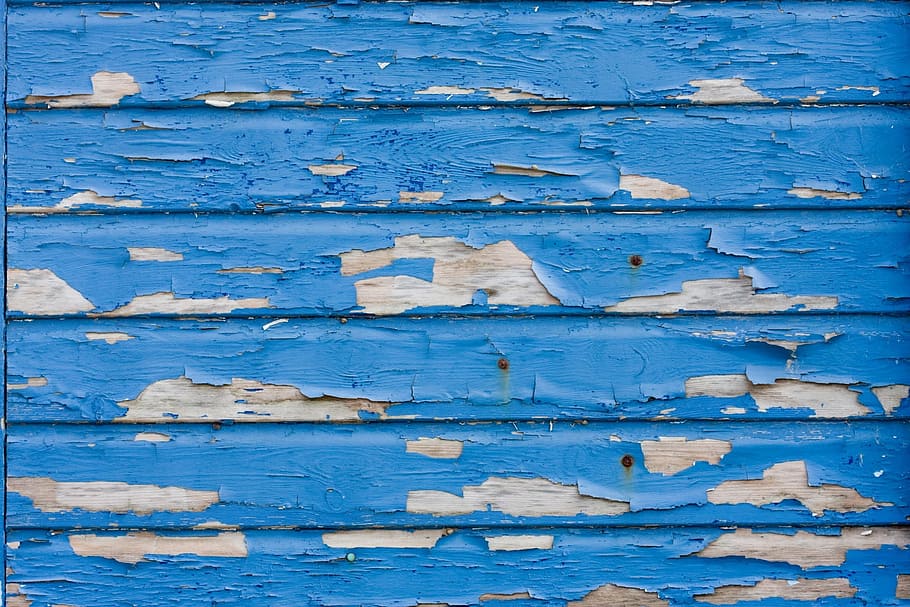 마른 페인트 벽, 필링, 벗겨짐, 페인트, 푸른, 목재, 조직, 배경, 사진, 이미지