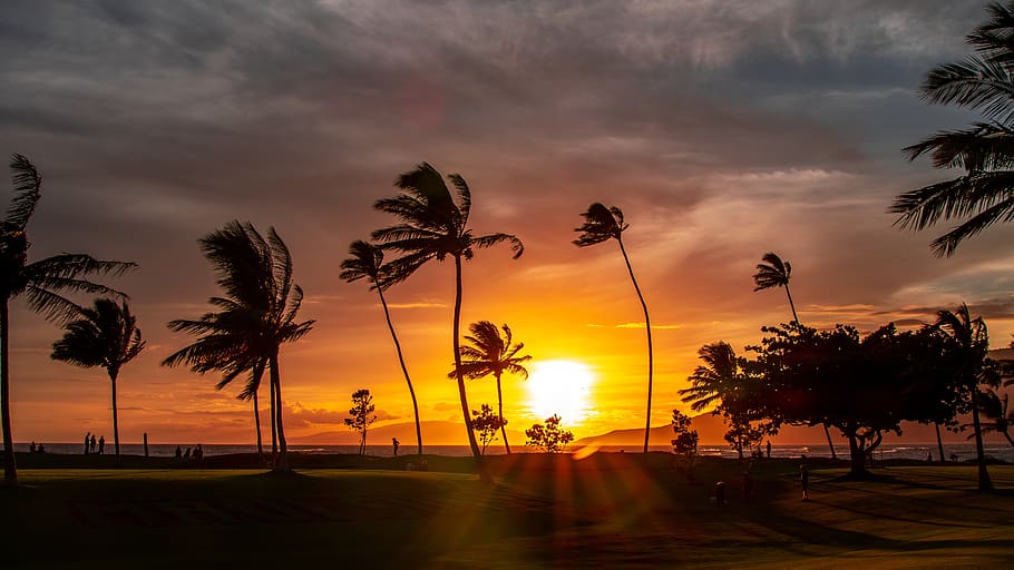 maui, hawaii, beach, landscape, nature, island, tropical, ocean, sunset, sky