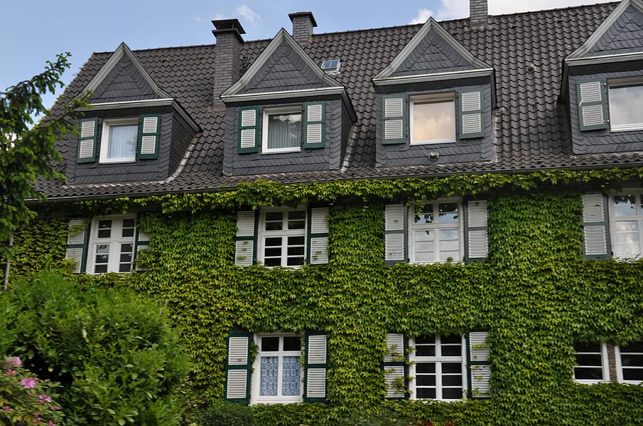 Home, Green, Building, Shutter, Romantic, green, building, ingrowing, nature, green facade house, house