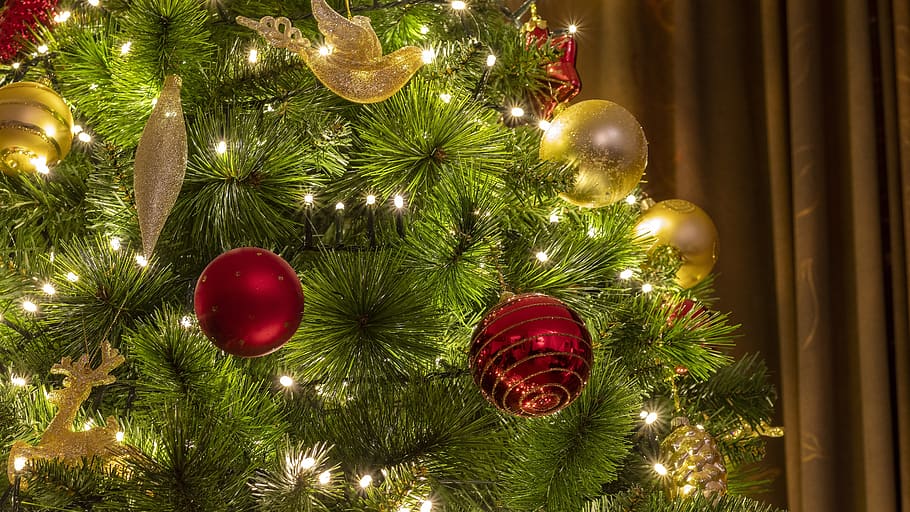 hari Natal, pohon Natal, dekorasi, perayaan, pohon, deco, dekoratif, christmasbackground, hari libur umum, bola natal