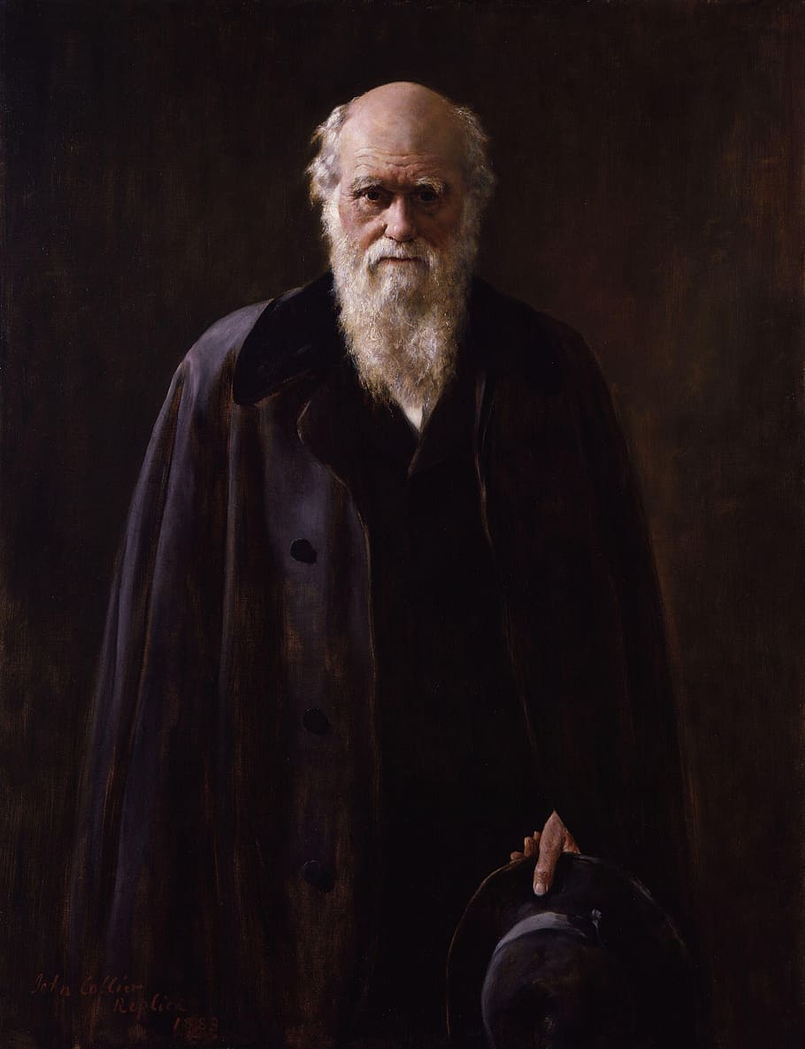 berjanggut, manusia, mengenakan, biru, mantel, charles robert darwin, darwinism, teori evolusi, lukisan, 1883