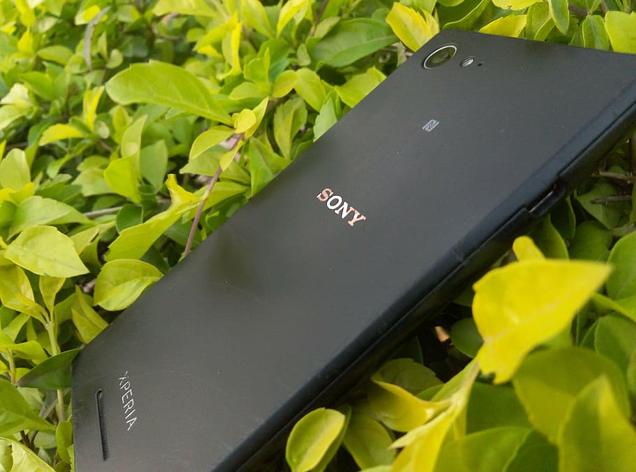 sony, xperia, phone, lost, grass, green, device, leaf, plant part, close-up