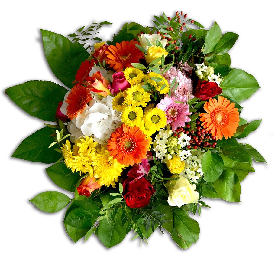 yellow, orange, red, petaled flower arrangement, flower arrangement, bouquet, bound, colorful, gerbera, chrysanthemums