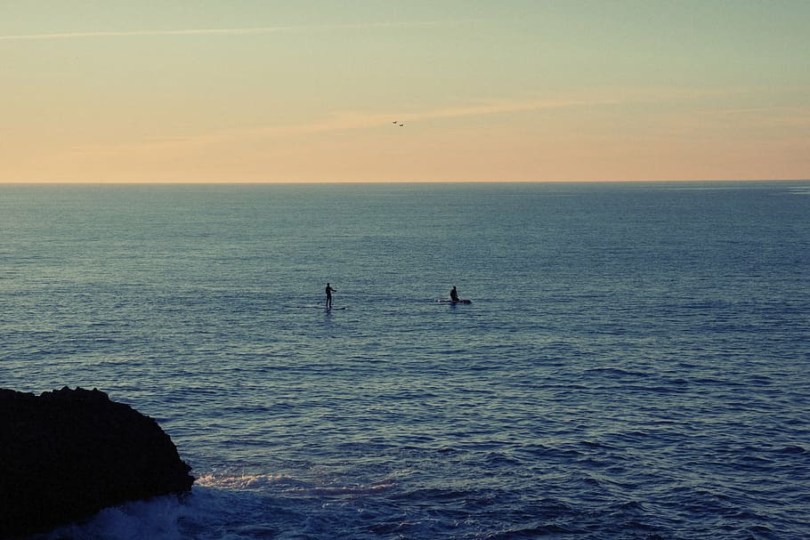 silhouette, two, person, board, sea, body, water, ocean, paddle boarding, paddle boarders