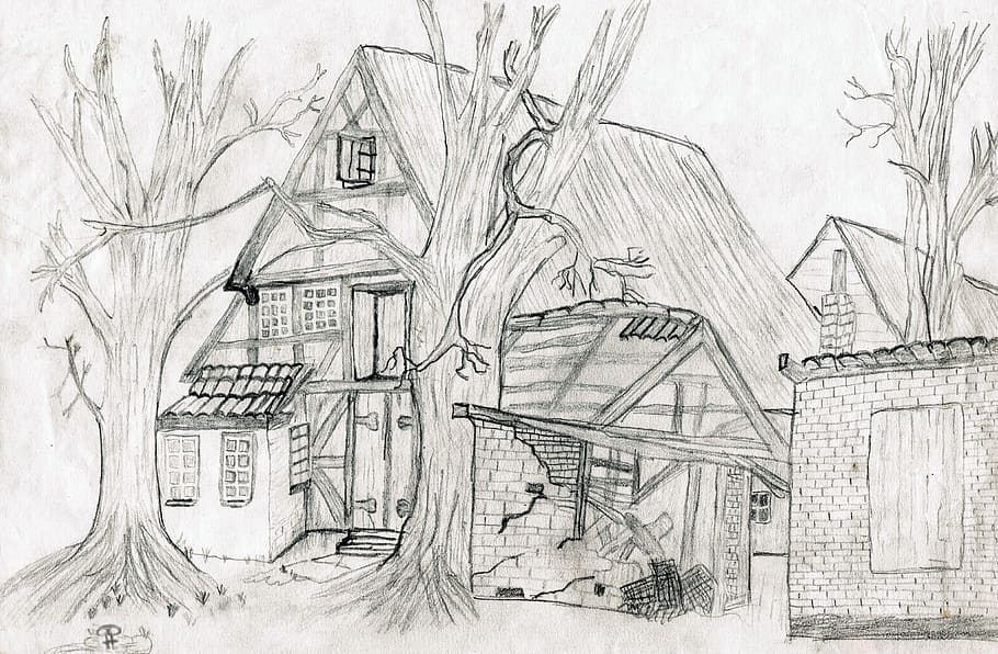 foto close-up, sketsa, telanjang, pohon, Menggambar Pensil, Rumah, menggambar, sketsa yang digambar tangan, hitam dan putih, cat