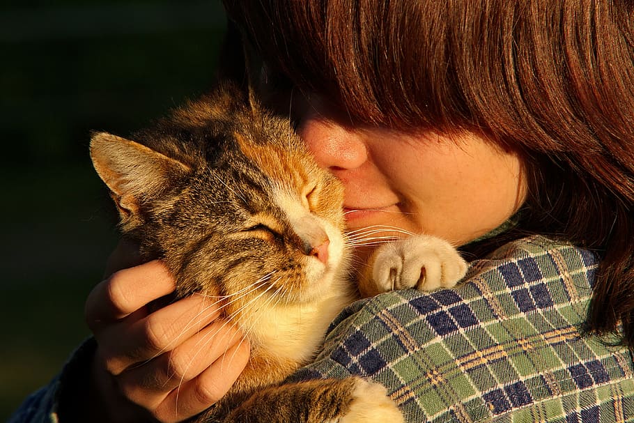 woman cuddling, calico, cat, kat, people, face, person, animals, cats, pet