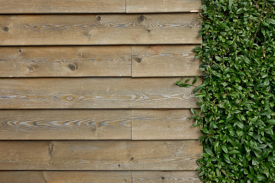 high-angle photo, green, grass, brown, wooden, panel, wall, wooden wall, wall boards, boards