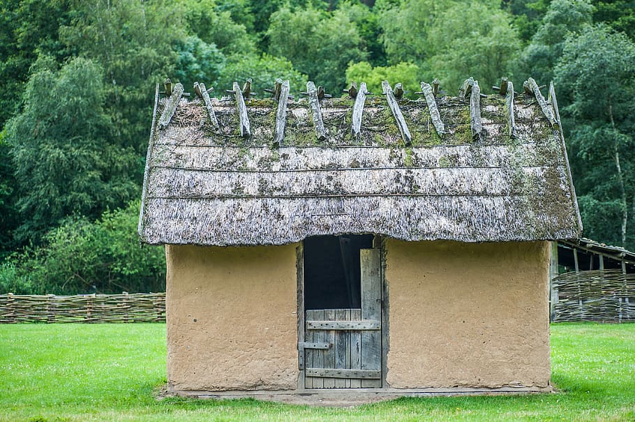 Slave House, Clay, Thatched Roofs, Wood, century, forest, wattle fence, built structure, grass, green color