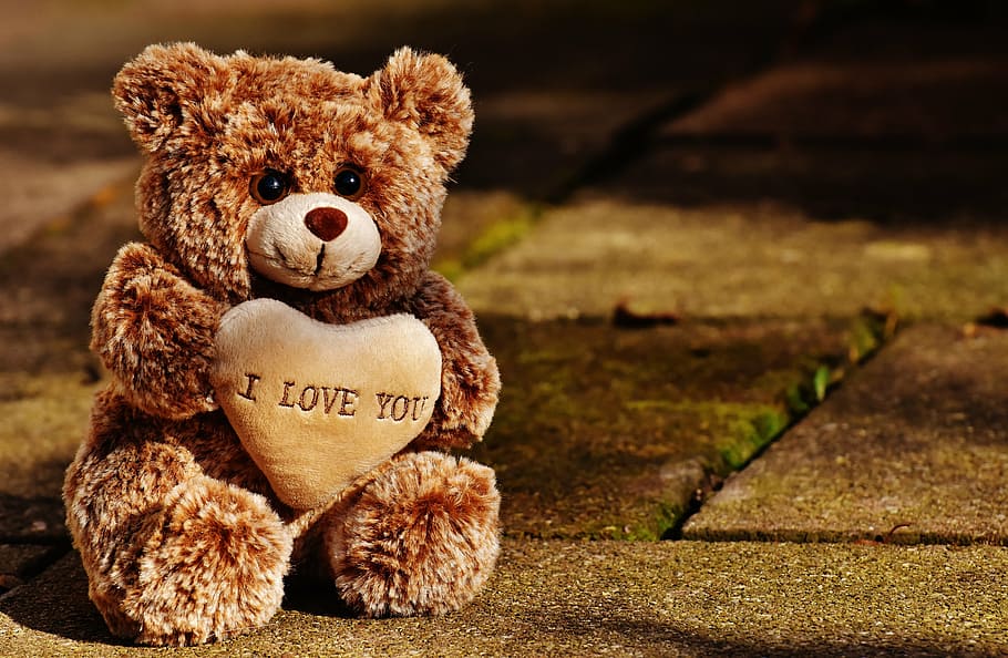 brown, bear, plush, toy, concrete, floor, love, teddy, bears, cute