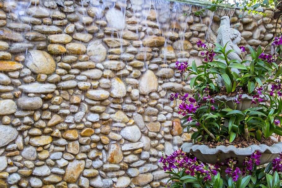 stone, nature, default, plant, texture, arrangement, gardening, botany, source, wall