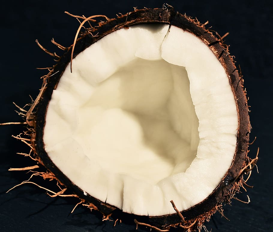 coconut, diet, fetus, tropics, shell, palm, nuts, healthy, still life, plant