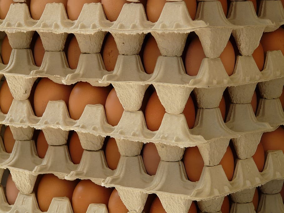 egg, egg box, food, food and drink, full frame, in a row, freshness, large group of objects, side by side, abundance