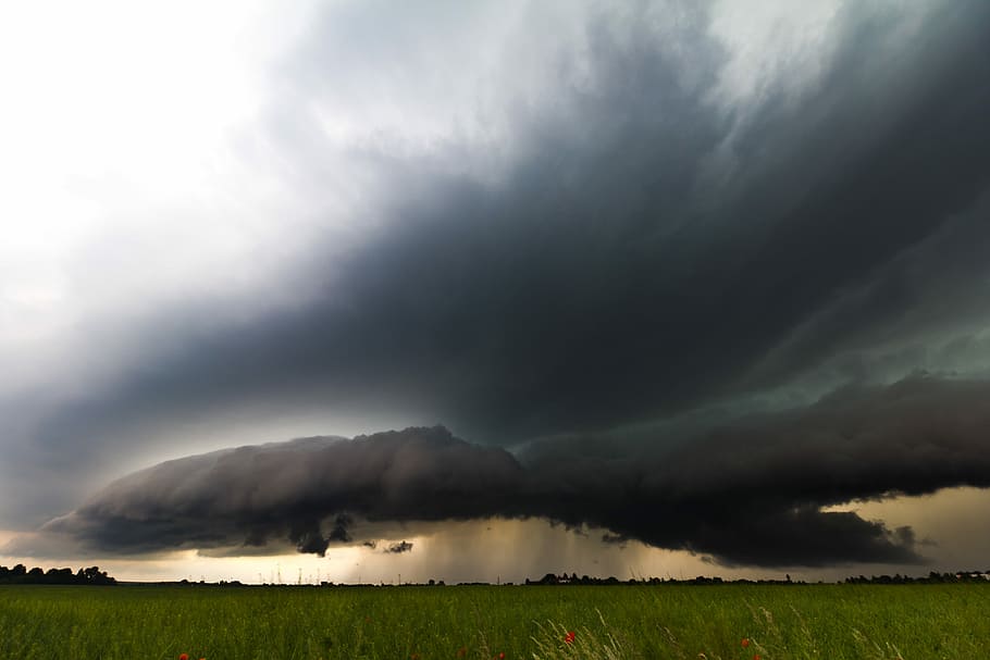grass field, cumulonimbus, storm hunting, meteorology, thunderstorm, storm, shelf cloud, monster, weather, squall line