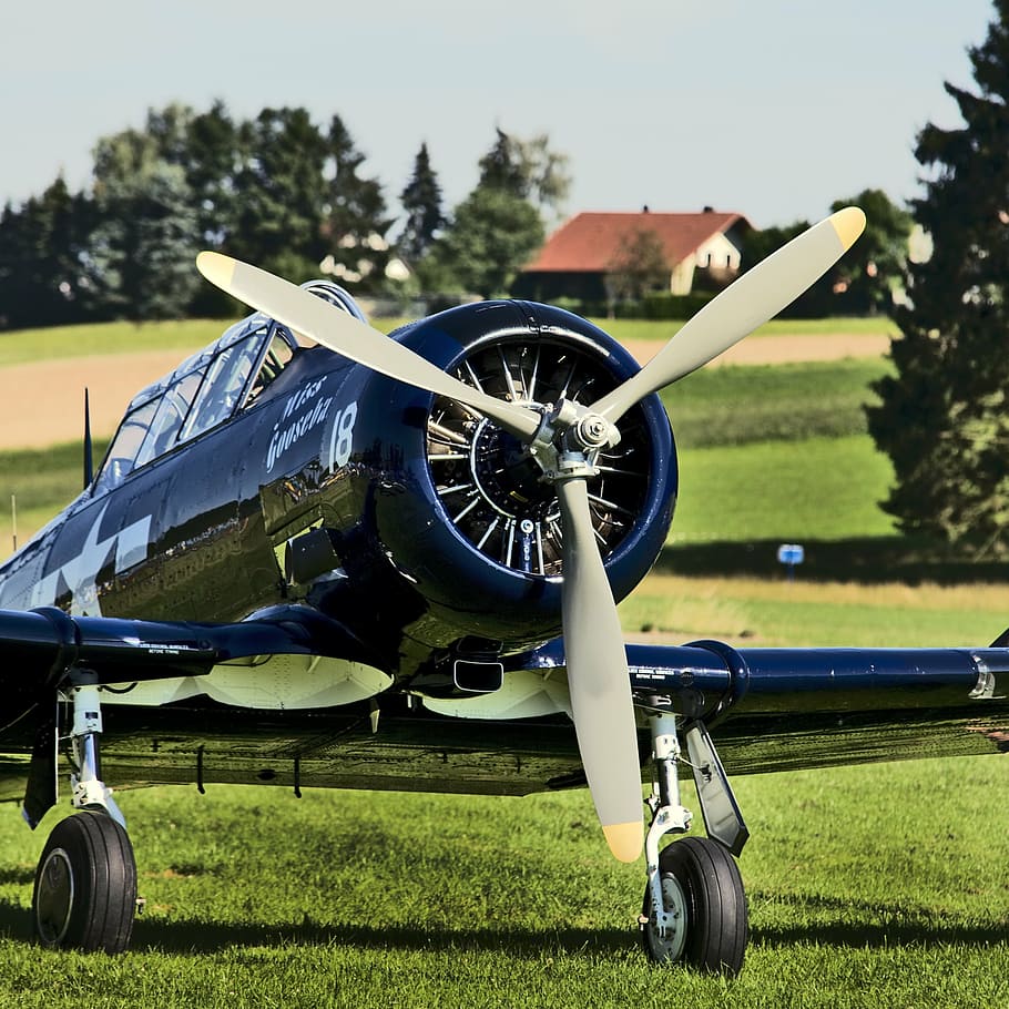 blue biplane, propeller plane, aircraft, aviation, historically, frontal, black, oldtimer, landed, sport