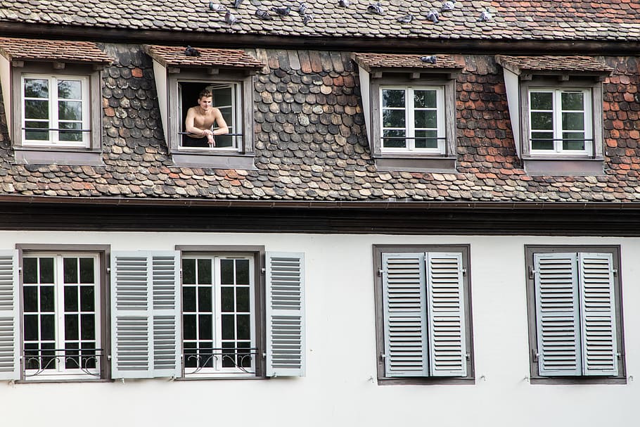strasbourg, morning, resident, building, housing, apartment, wake-up, window, architecture, building exterior