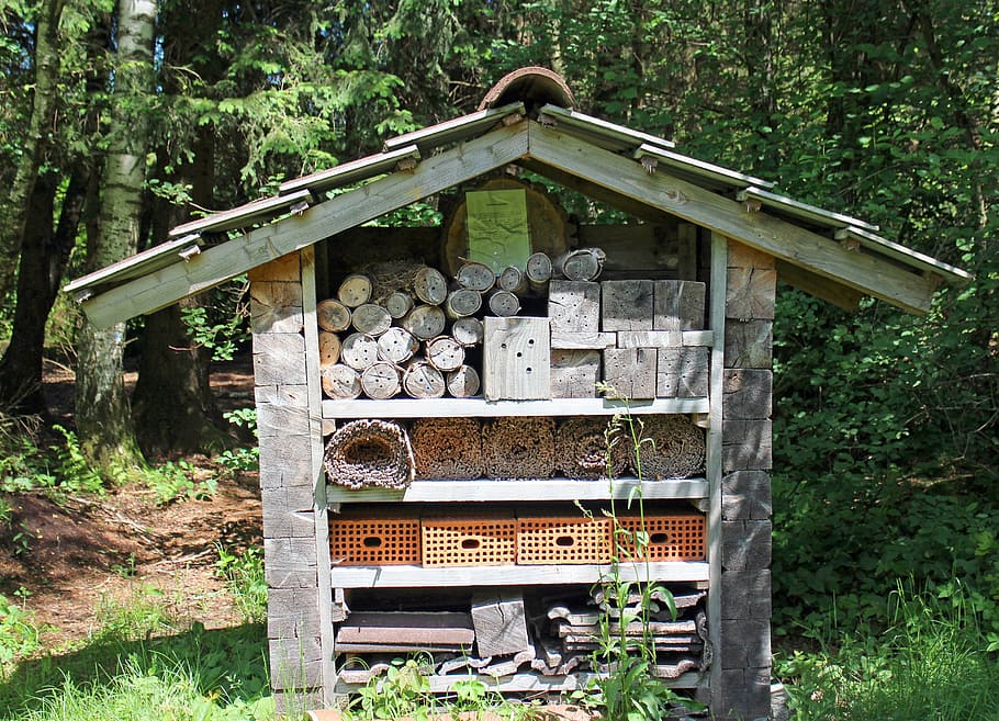 insect hotel, nesting help, wild bees, insect, bee hotel, wasps, school garden, breeding help, cavity, nature