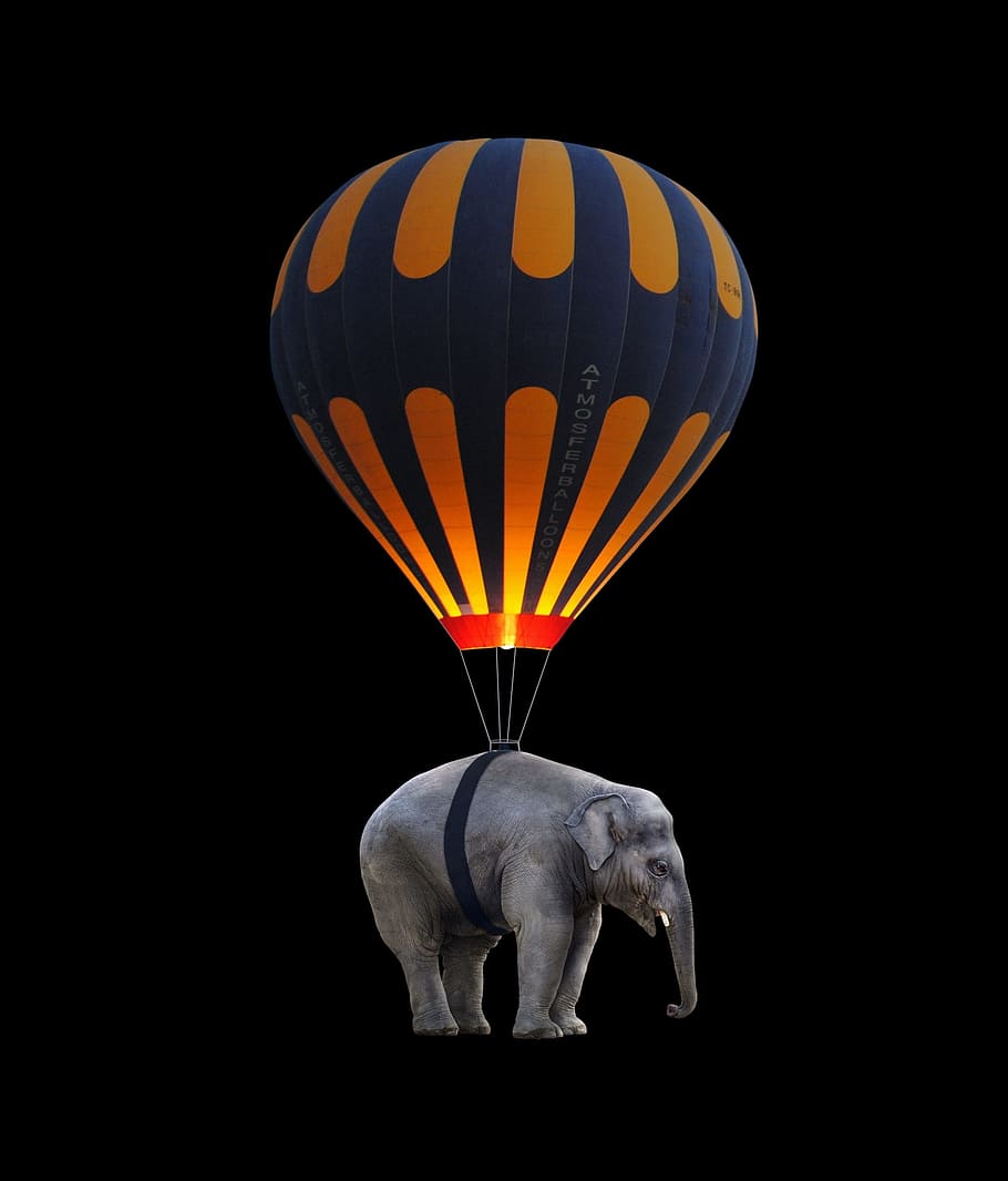 elefante, caliente, globo aerostático, globo, mosca, ingrávido, paseo en globo aerostático, flotante, globo cautivo, elefante indio