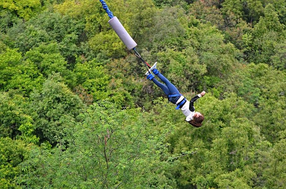bungee, jump, landscape, nature, extreme, fun, amusement, upside-down, plant, tree