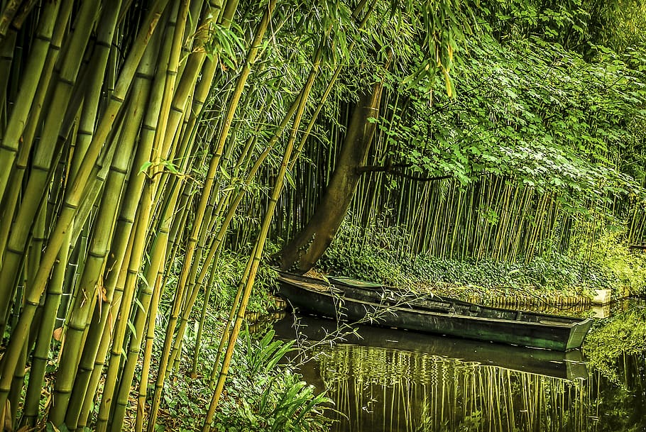 bambú, barco, vietnamita, agua, paisaje, myanmar, reflexión, asia, río, turismo
