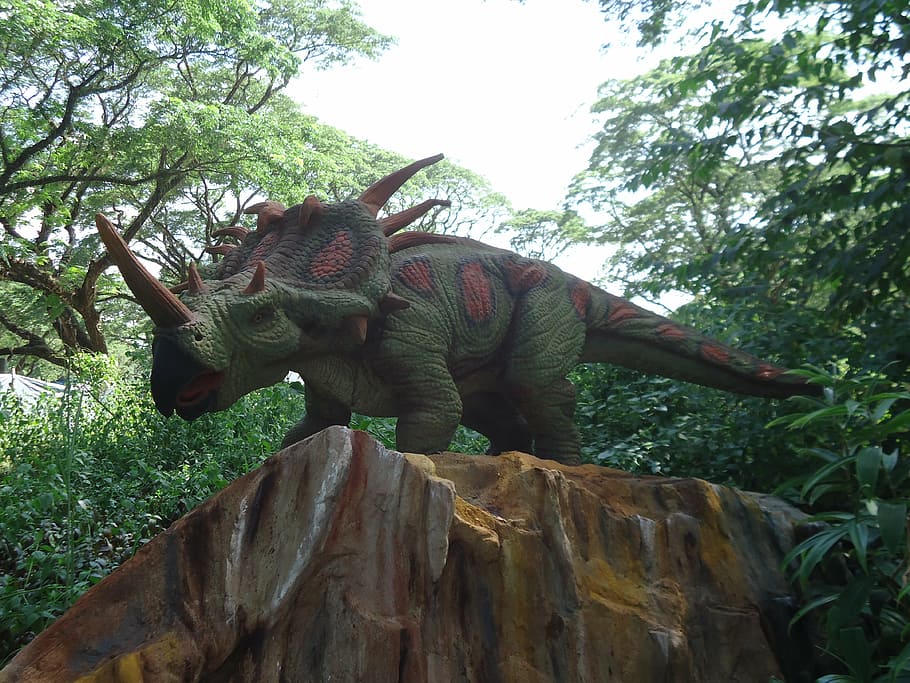 dinosaurio, triceratops, jurásico, reptil, exposición, diversión para niños, bosque, parque, planta, árbol