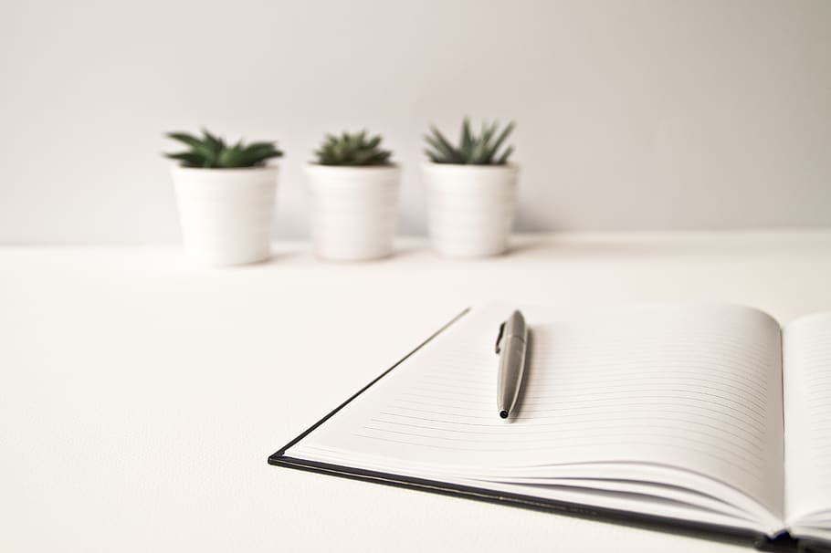 minimal, cactus, desk, white, nature, plant, pen, write, office, notepad