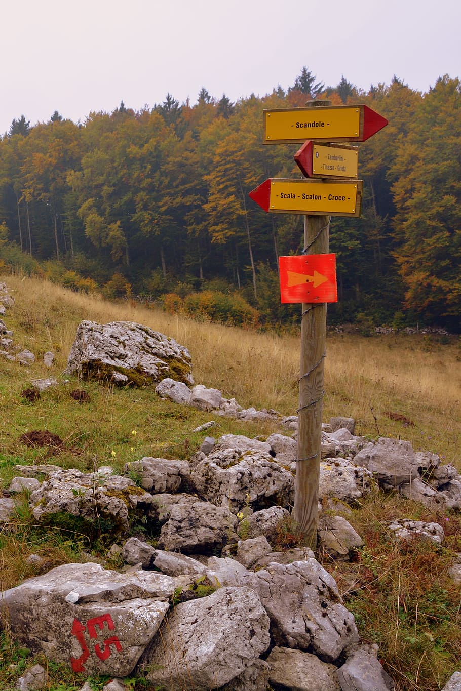 signal, indications, excursion, trail, forest, tree, stones, sassi, autumn, the european path