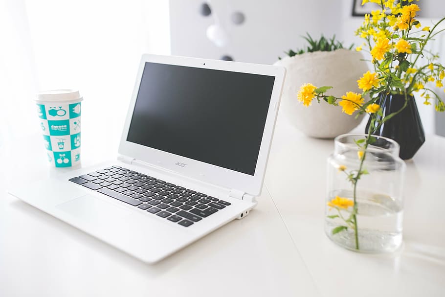 branco, acer laptop, ao lado, vaso, amarelo, flor de cluster, de madeira, mesa, acer, chromebook