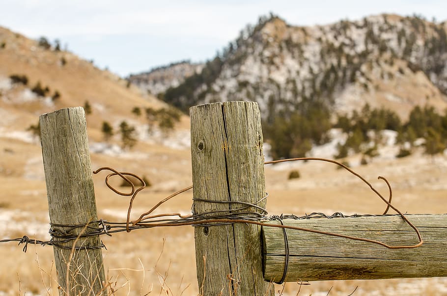 Fence, Barbed Wire, Ranch, Rustic, wire, barbed, protection, border, protect, secure