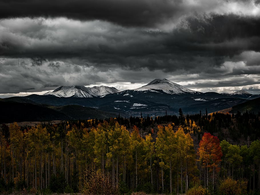 landscape photography, trees, mountains, cloudy, sky, tree, near, mountain, autumn, fall