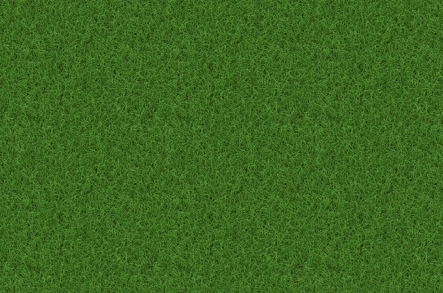 hijau, rumput, terburu-buru, tekstur, latar belakang, pola, rumput hijau, padang rumput, halme, bilah rumput
