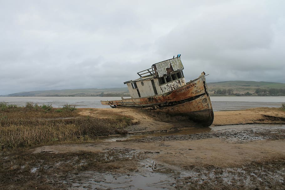 gray, shipwreck, sea, boat, wreak, ocean, water, beach, 2010, wind