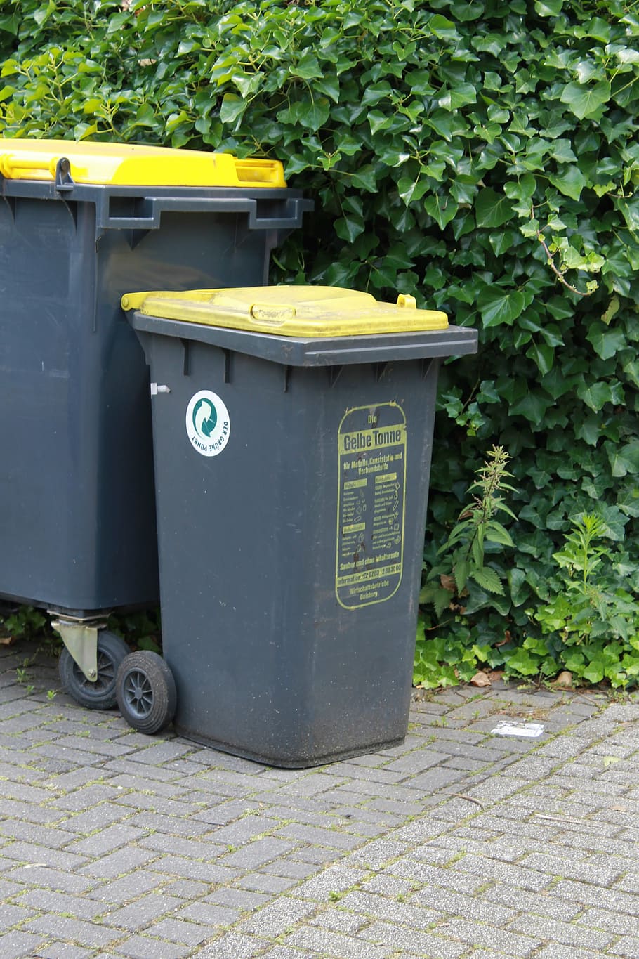 yellow ton, garbage can, waste, garbage bin, recycling, recycling bin, day, plant, nature, environmental issues