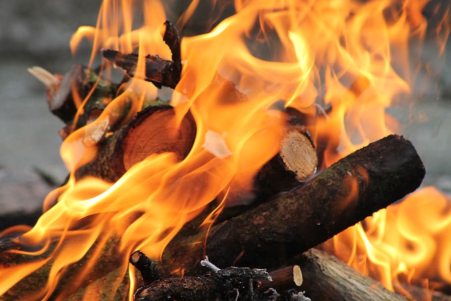 fire, bonfire, burn, fuel, orange, hot, burning, flame, fire - natural phenomenon, heat - temperature