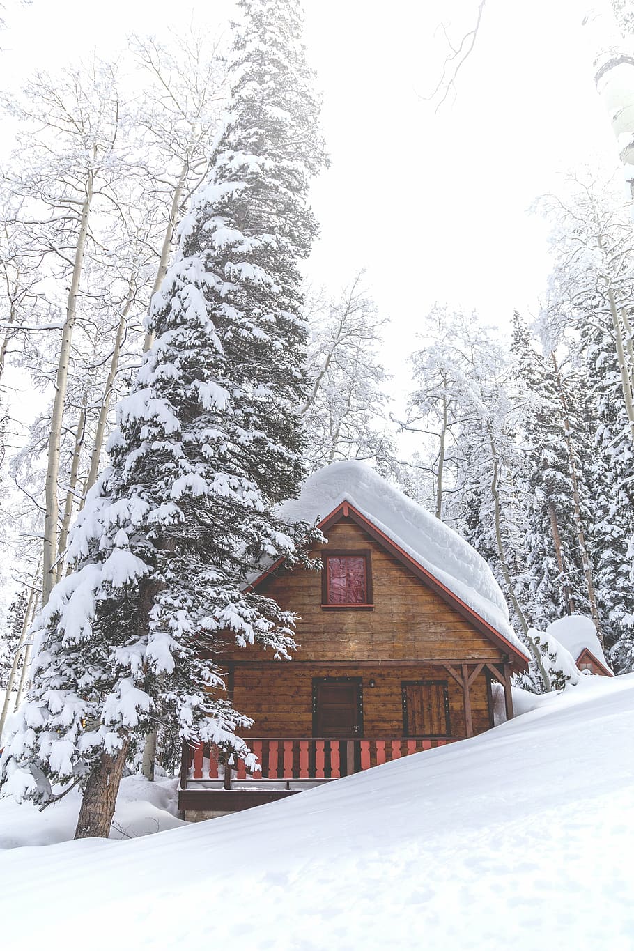 brown, red, house, surrounded, high, trees, covered, snow, white, sky