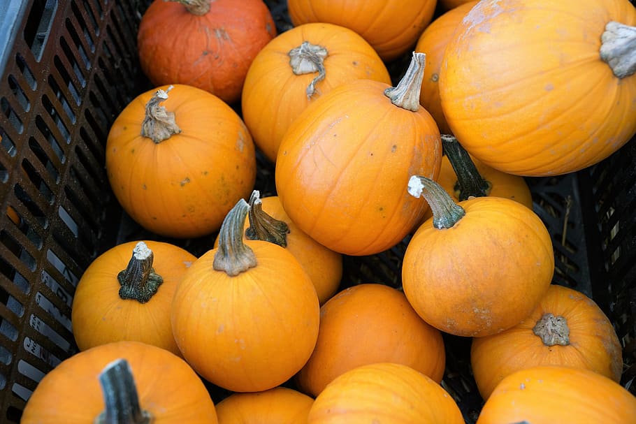 pumpkins, vegan, healthy, eat, cook, market, sale, summer, autumn, nutrition