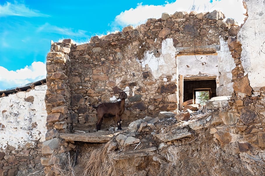alewga, village, cyprus, goat, the stones, destroyed, abandoned, forgotten, landscape, scenery