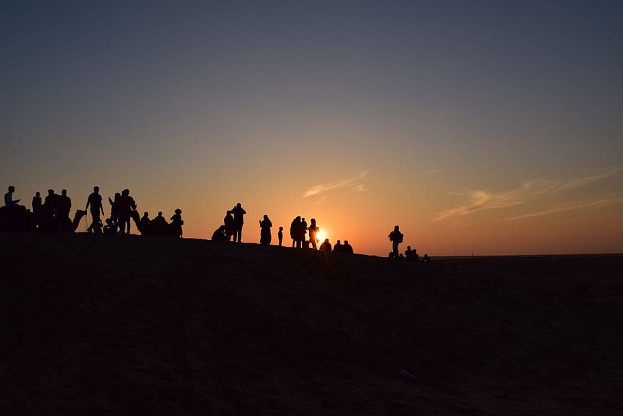 desert, sunset, landscape, sand, nature, sky, sun, travel, dunes, camels