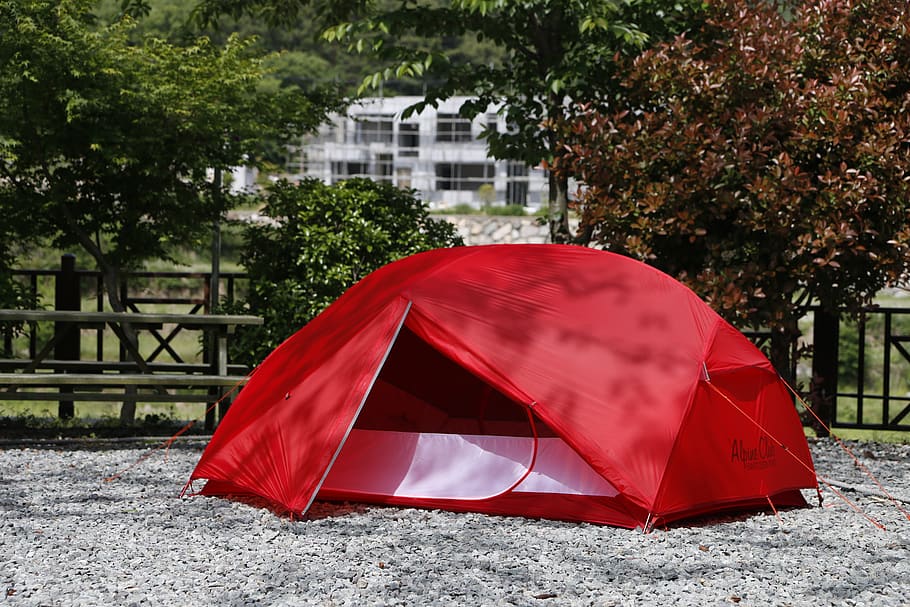 tent, camping, red, tree, plant, nature, built structure, day, architecture, protection