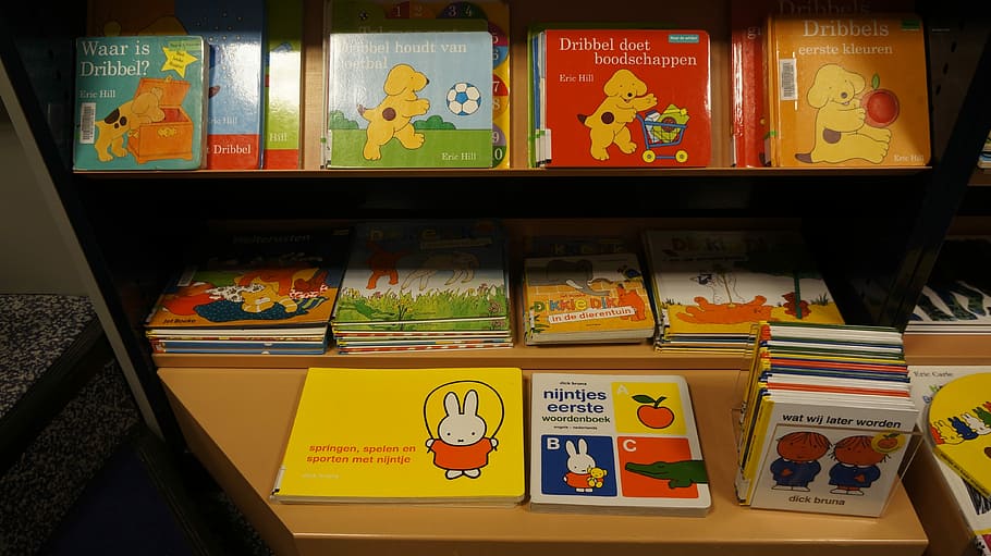 banyak buku judul berbagai macam, Buku Anak-Anak, Perpustakaan, buku, membaca, rak, tidak ada orang, di dalam ruangan, makanan dan minuman, pilihan