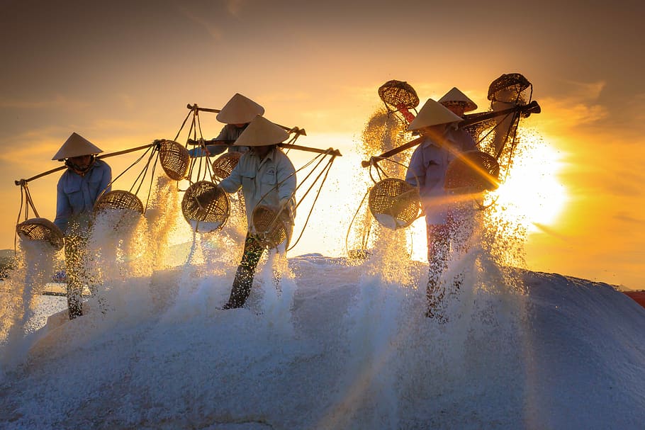 group, people, wearing, sakat, salt, field, nha trang, dawn, province, ninh thuan