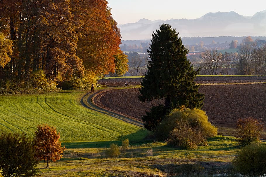 Baviera, otoño, naturaleza, estado de ánimo, color de otoño, árboles, montañas, paisaje, estribaciones de la, árbol