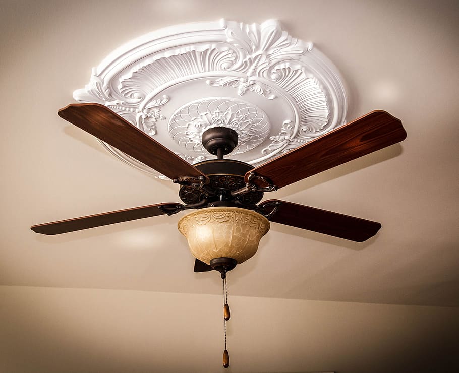 ceiling fan, ceiling medallion, ceiling light, blades, pull cords, pull strings, down draft, up draft, fan, air current