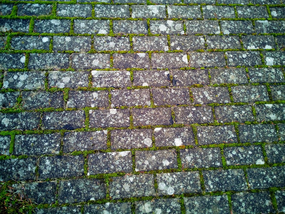 texture, paving stones, cobble, street, empedrado, soil, stone, floor, pavement, grass